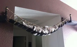 62 Spoiled Cats That Probably Live Better Than You