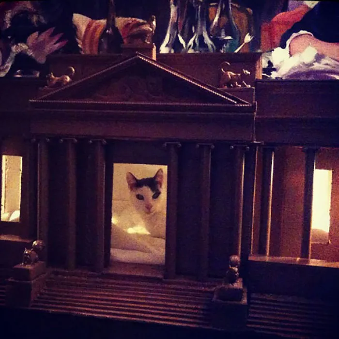 Beemer's New House