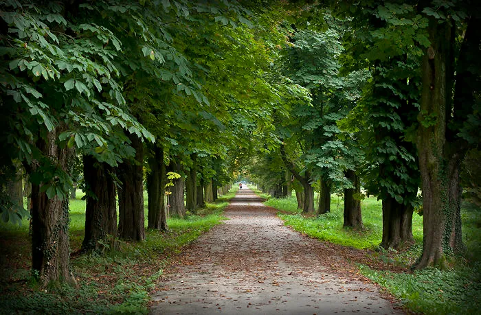 Stupava, Slovakia