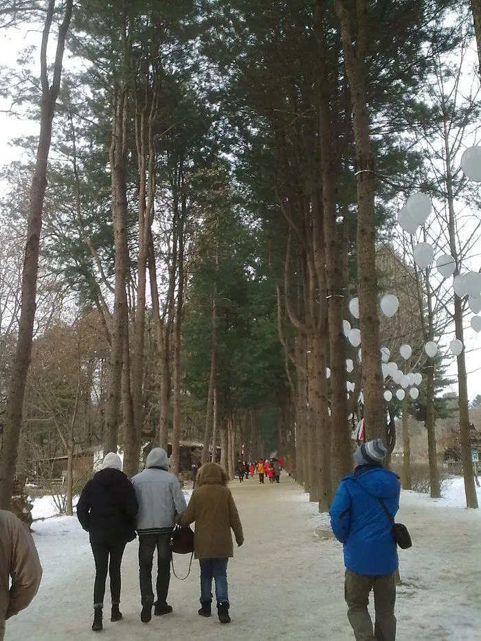 Nami Island, South Korea