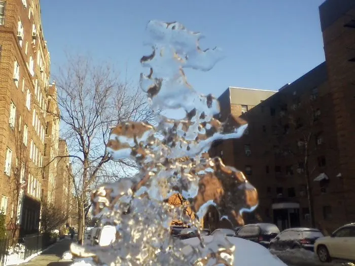 Ice Tree