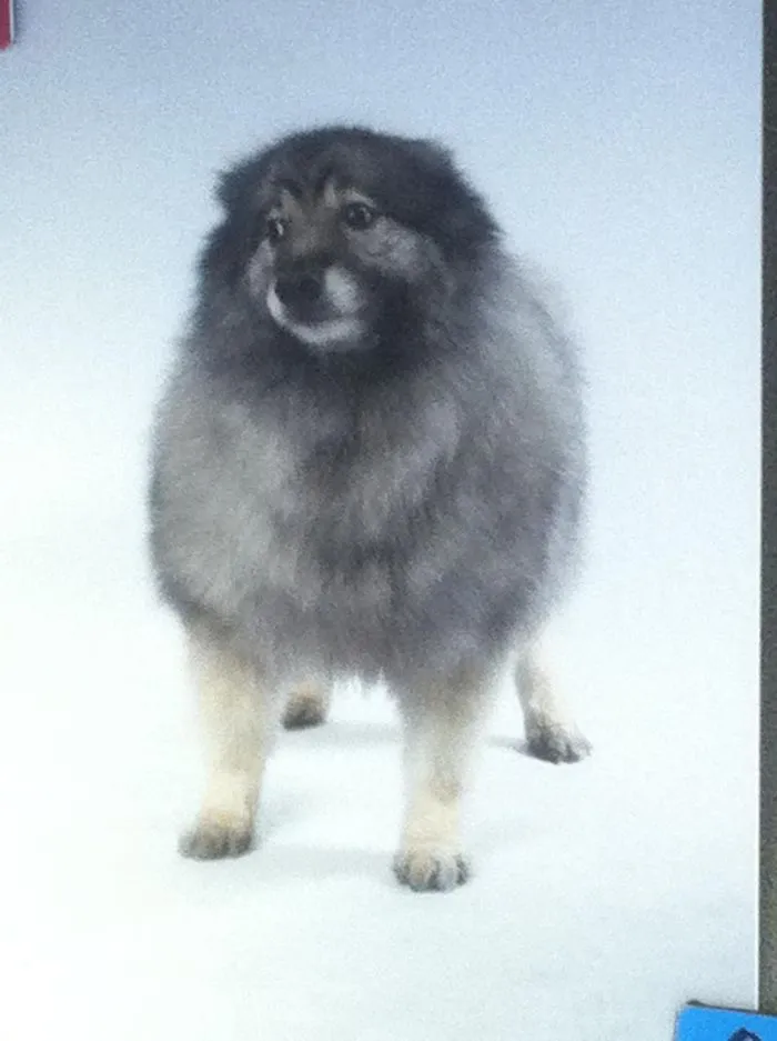 Rip Giorgio  2001-2014