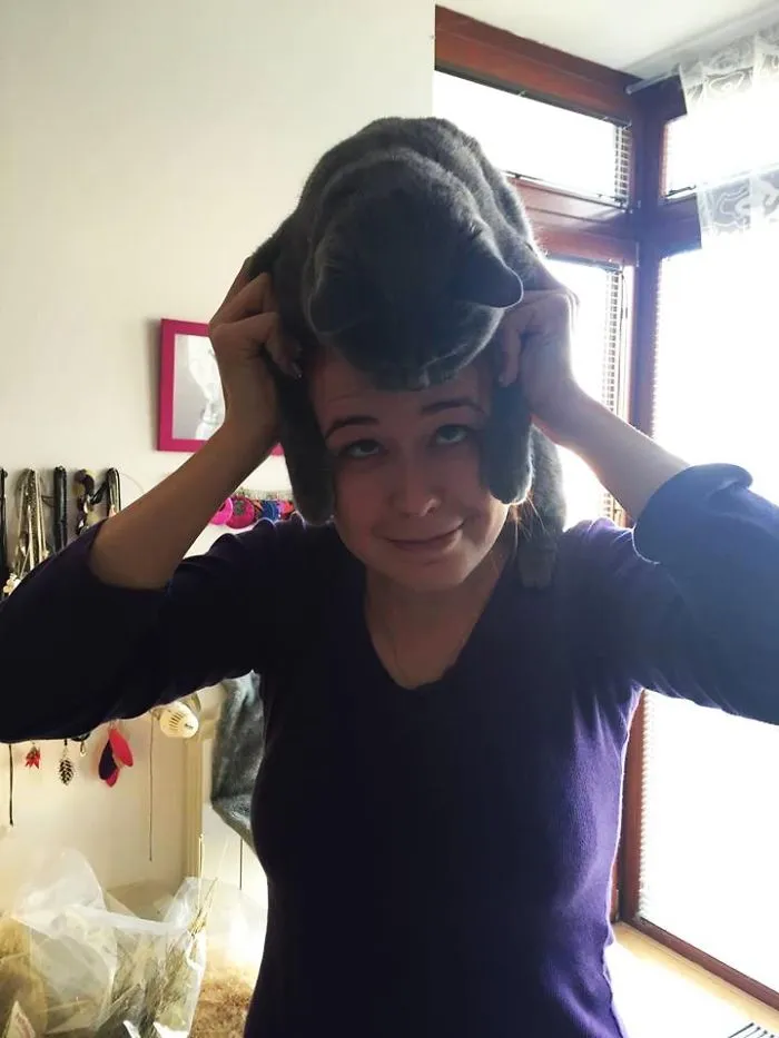 People Wearing Cats As Hats Is The Cutest Trend Right Now