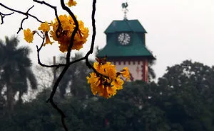 Dash Of Beauty Around The Indian Institute Of Engineering Science & Technology, Howrah, India