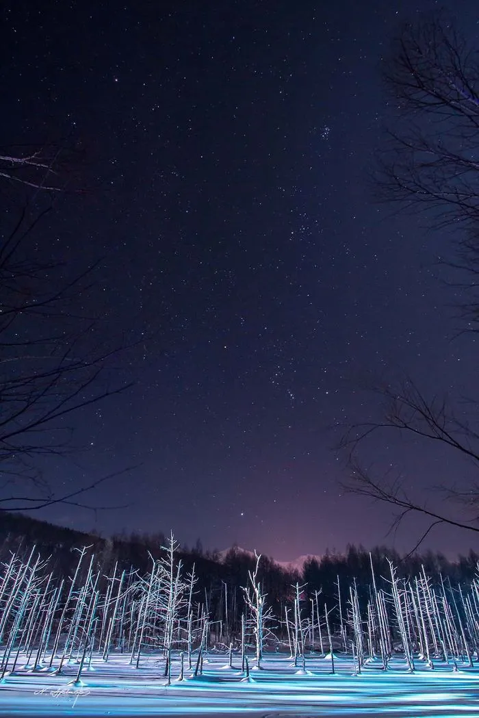 Orion And Sirius In Blue Pond