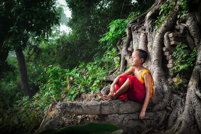 The Tree Of Life