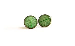 Real Skeleton Leaf Earrings