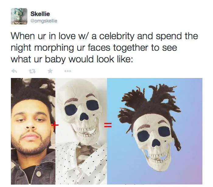 Instagramming Skeleton Gets A Twitter Account
