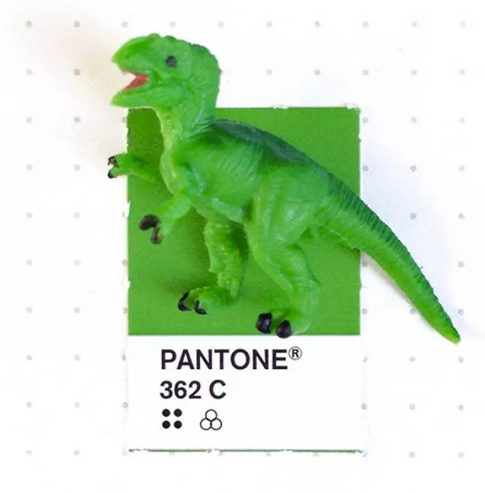 Pantone Colors And Matching Everyday Objects…