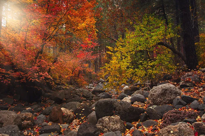 Oak Creek, Arizona