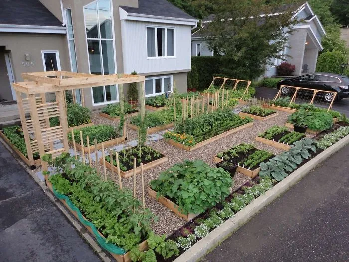 Vegetable Garden