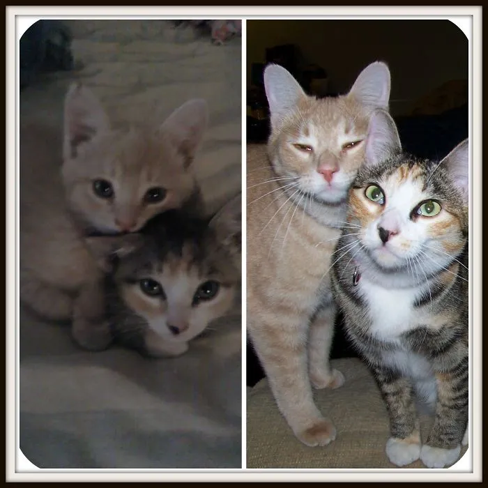 Sisters