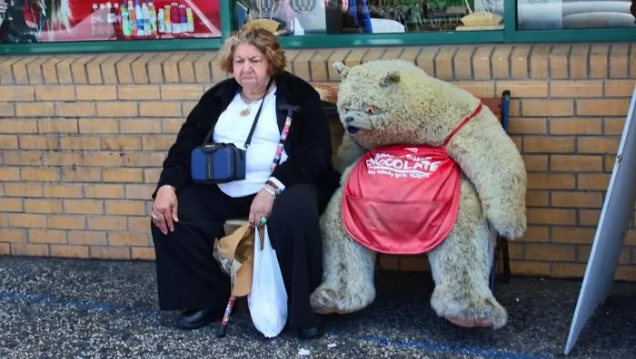 Bear A Resemblance?