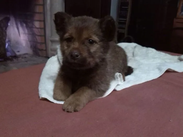 Her Real Name Is...bear!