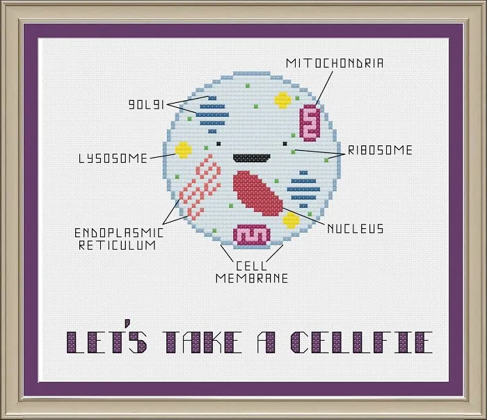 Let's Take A Cellfie