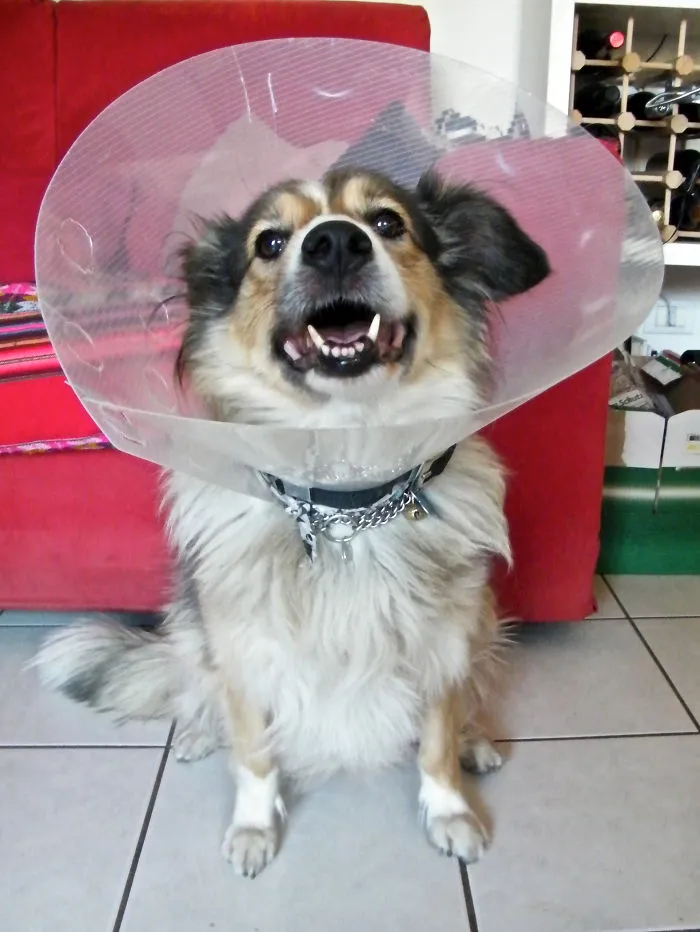 Shira Smiling