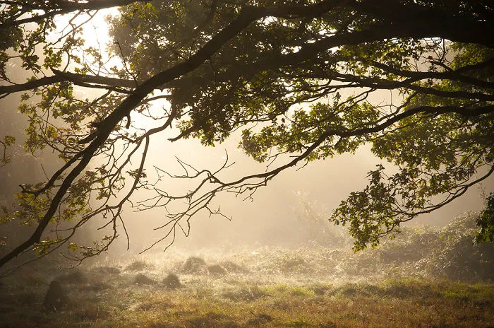 Leicestershire, England