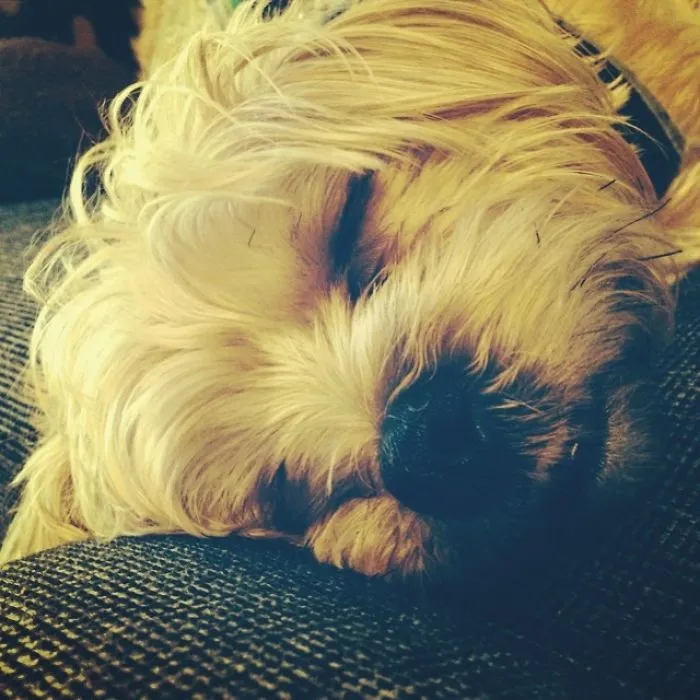 Even When I Sleep!