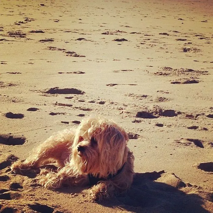 I Like To Chill On The Beach