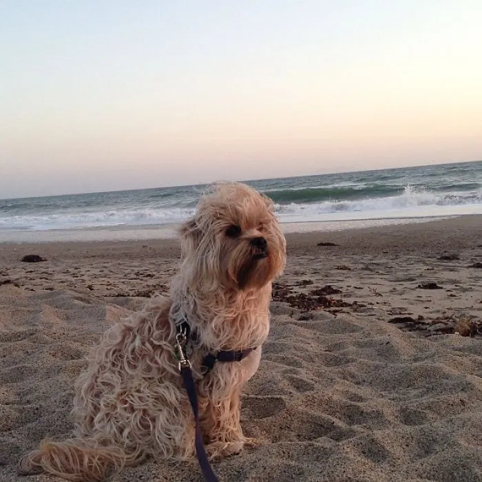 And Watch The Sunset
