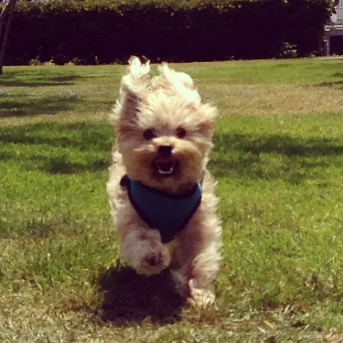 When My Mom Calls Me, I Always Come Running!