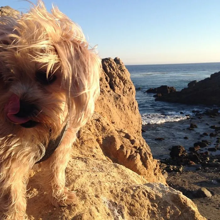 I Climb Rocks!