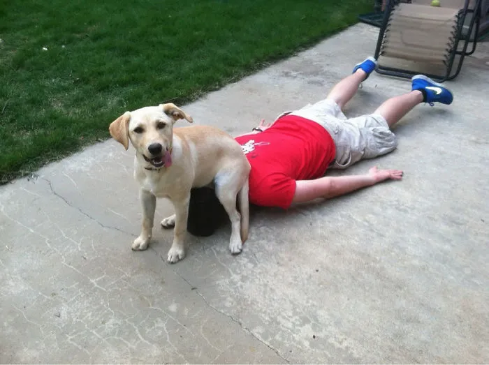 I Own This Human!