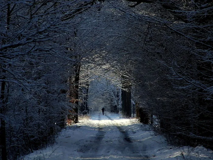 Get Out From Your Warm Pants And Cosy Room And Go Admire The Winter Magic!