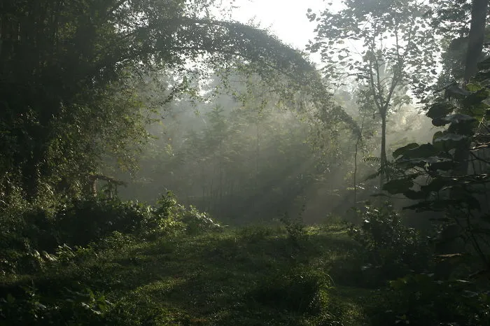 A Morning Walk In A Small Village In Java - South Malang Of Indonesia.