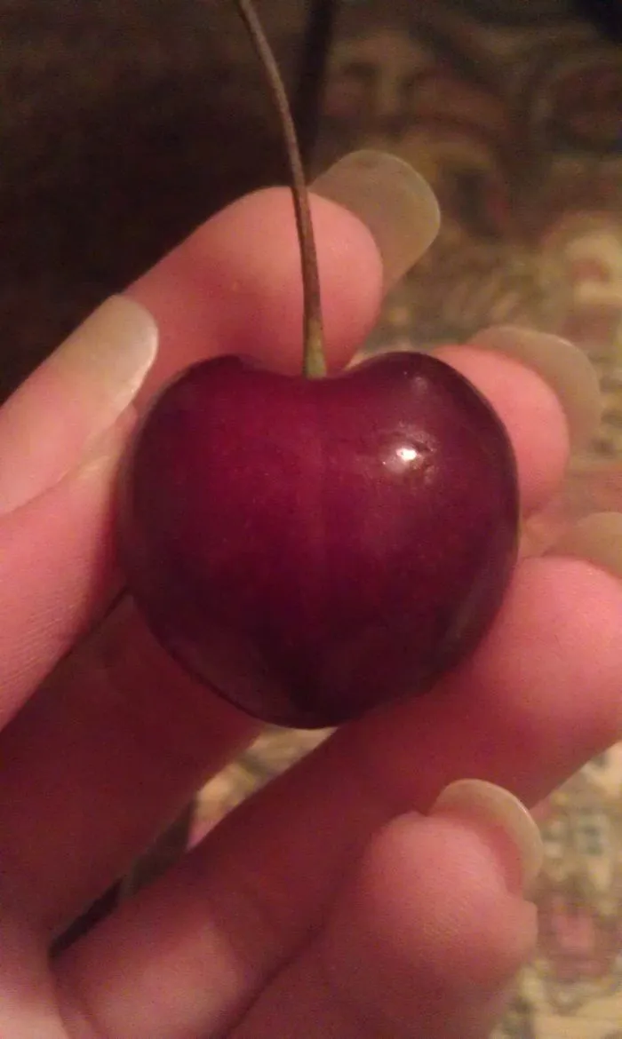 Like A Heart