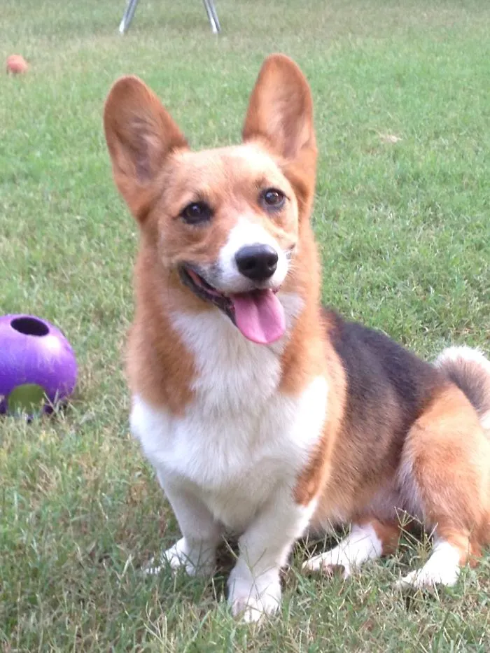 Ella Rose (such A Happy Girl)!
