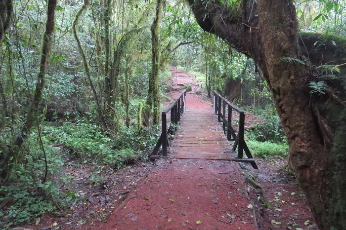 Mt Kilimanjaro