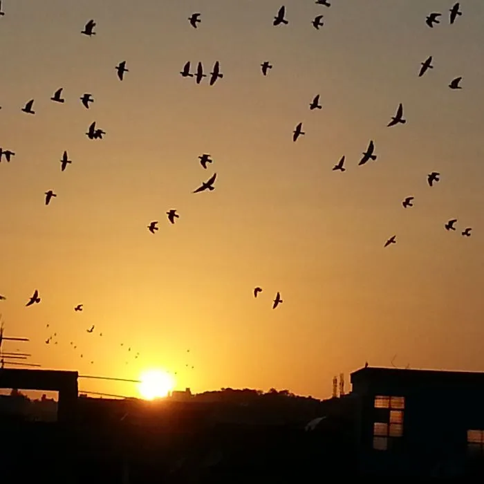 Sunset..!!