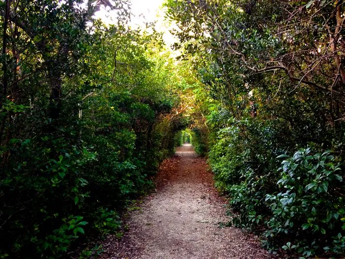 Ft. Lauderdale, Florida