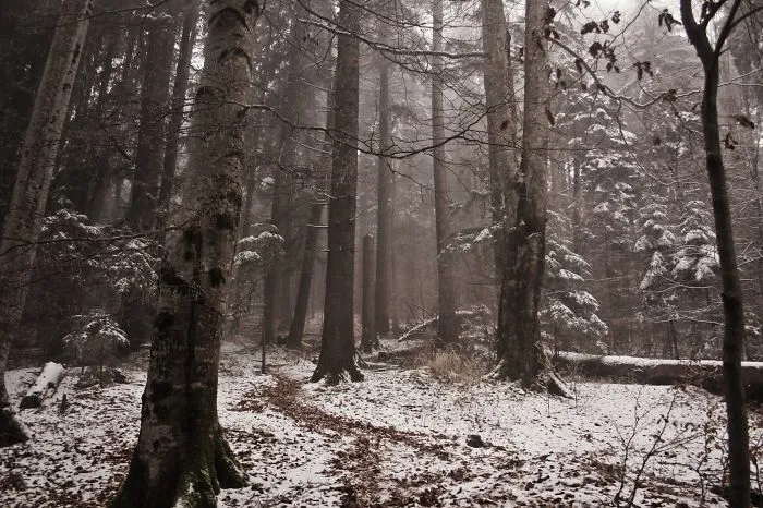 Busteni, Romania