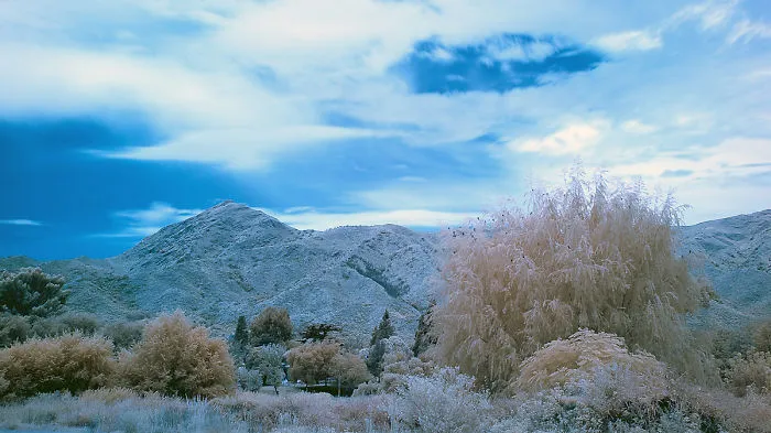 Do You Like Infrared Photography?