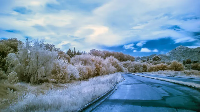 Do You Like Infrared Photography?