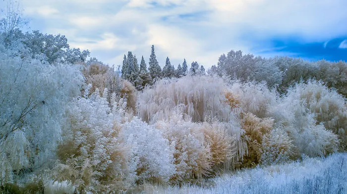 Do You Like Infrared Photography?