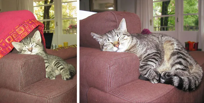 That Lovely Couch...