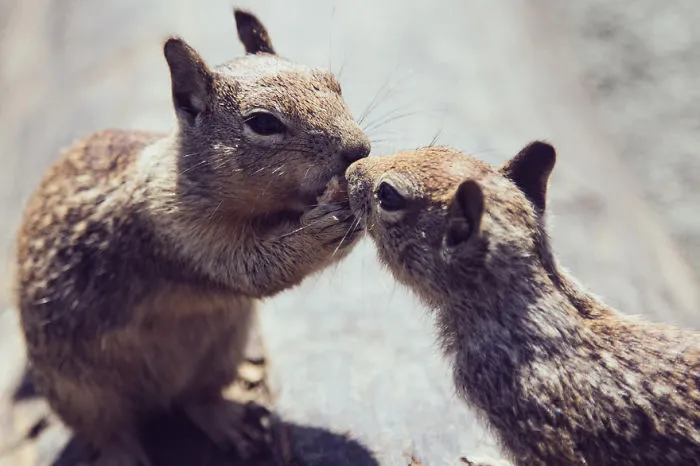 Sharing Is Caring