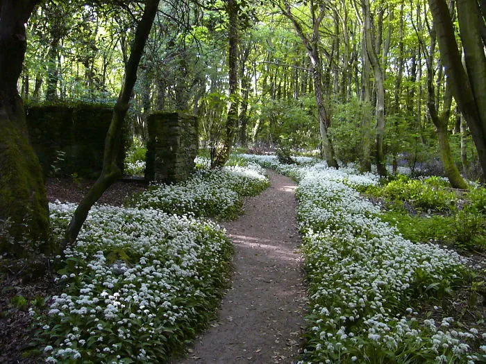 Penrhos Country Park, Holyhead