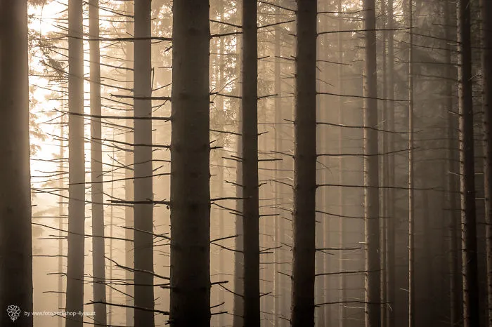 Into The Light...