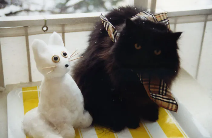 Our Late Tomcat And The "cool Friend" I Made For Him