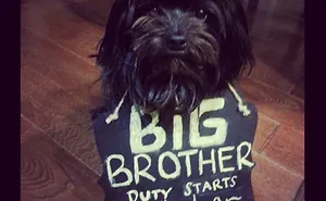 115 Of The Most Creative Baby Announcements Ever