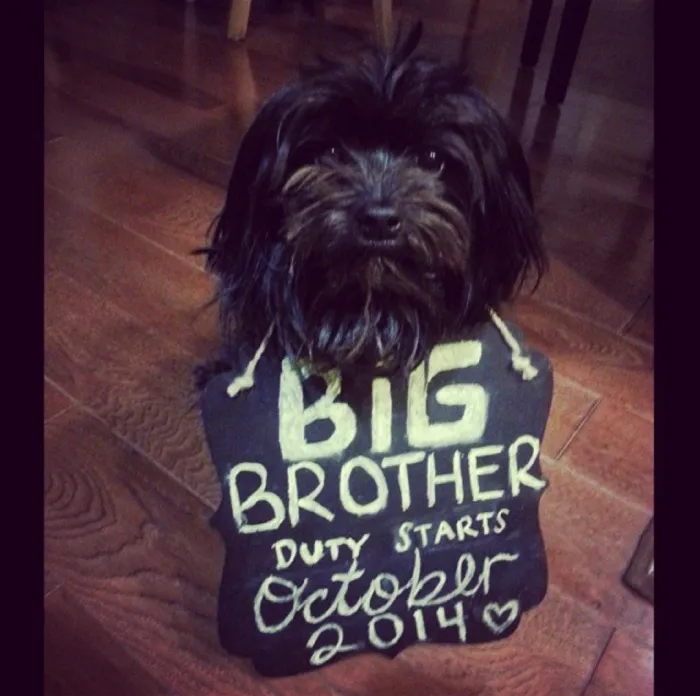 Big Brother