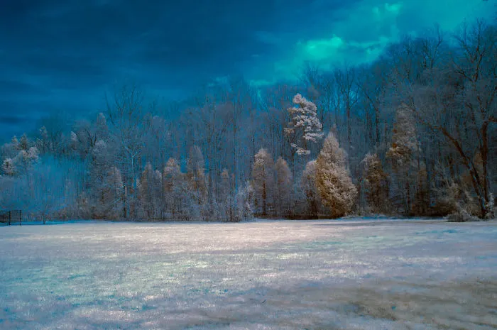 Sloan Park, Millbridge, Nc