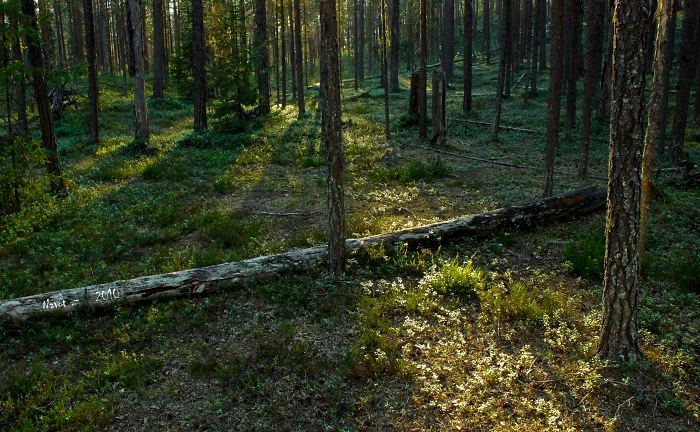 Lapland .