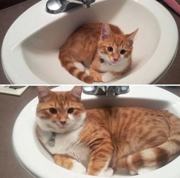6 Months Apart