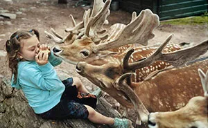 Amelia And The Animals: Photographer Mom Captures Daughter's Love For Animals