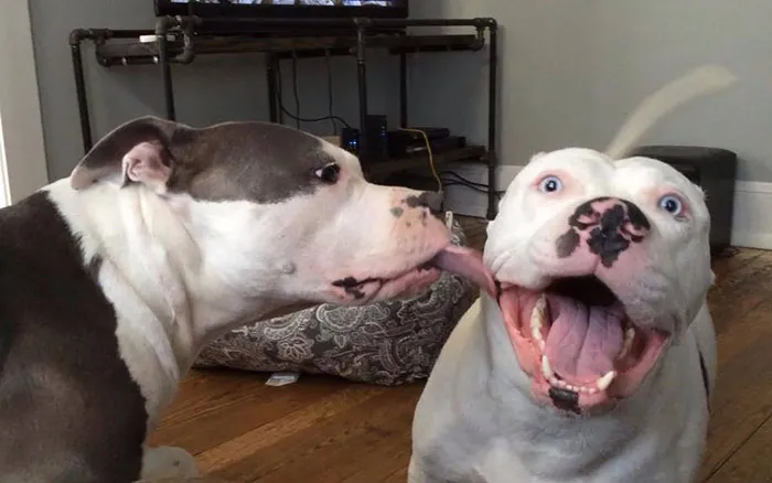 Surprise Kiss